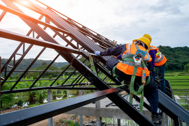 Best Metal Roofing Contractor  in Inesville, GA