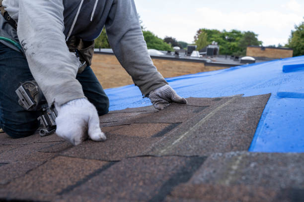 Best Commercial Roofing Services  in Inesville, GA