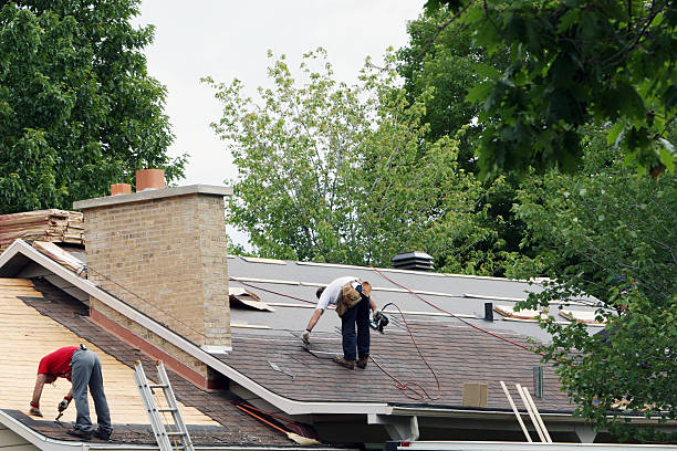 Best Shingle Roofing Installation  in Inesville, GA