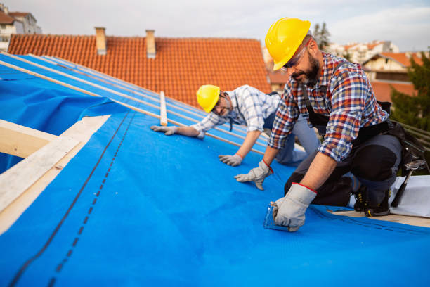 Best Emergency Roof Repair  in Inesville, GA