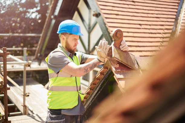 Best Roof Repair Services  in Inesville, GA
