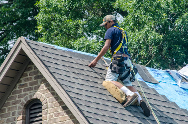 Gutter Installation and Roofing in Gainesville, GA